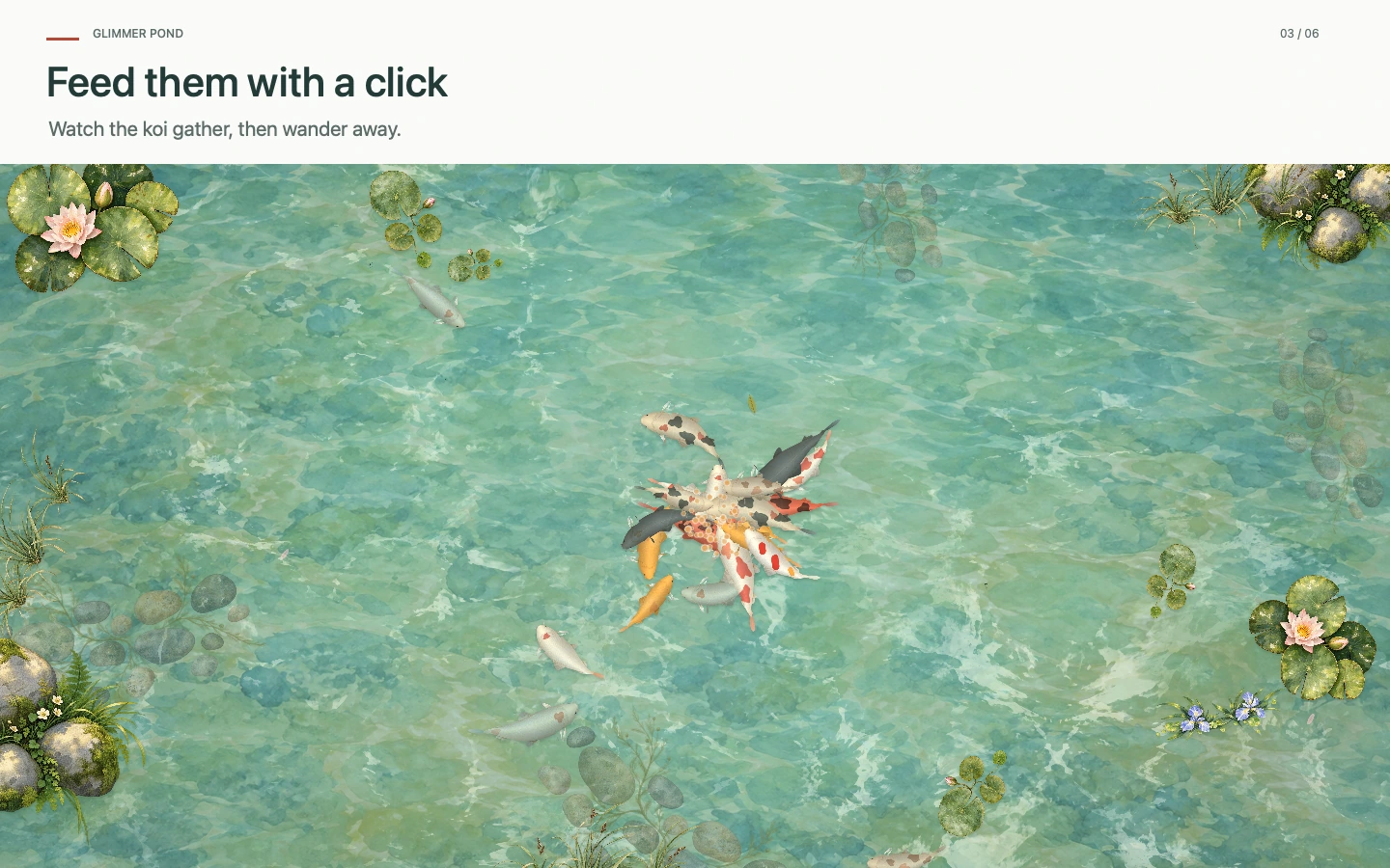 Glimmer Pond · Feed and interact