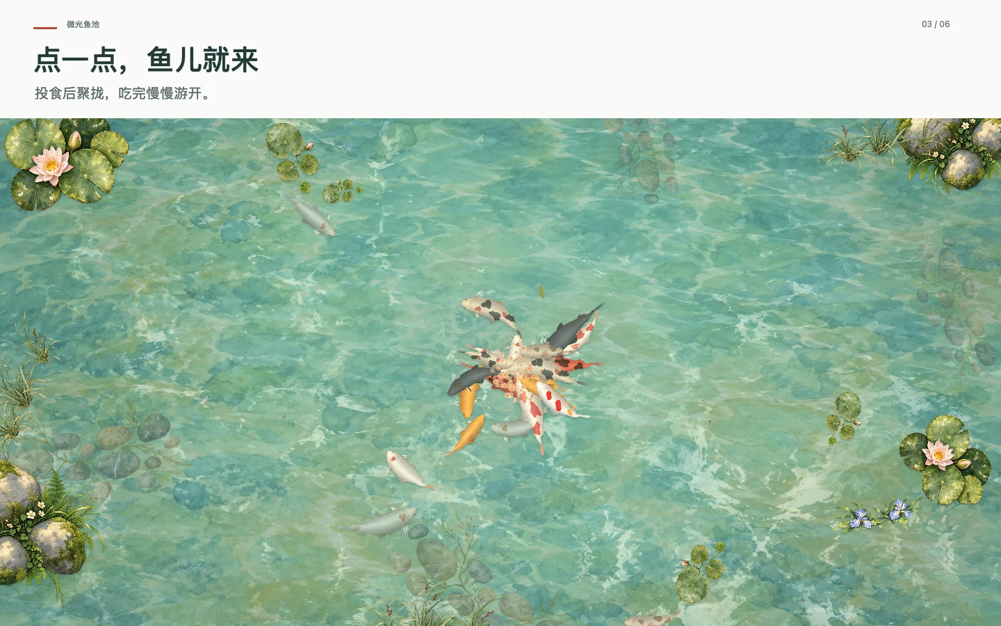 微光鱼池 · 投食与鱼儿互动