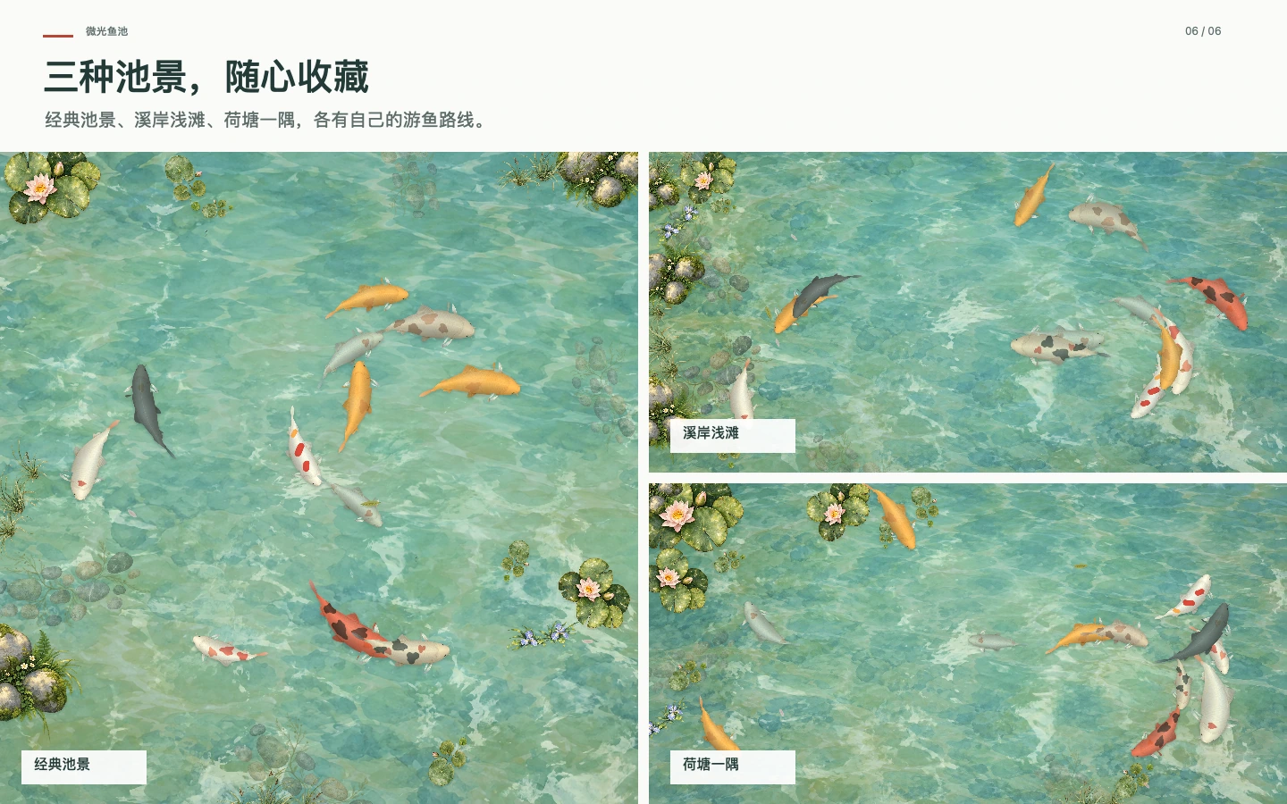 微光鱼池 · 经典池景、溪岸浅滩与荷塘一隅